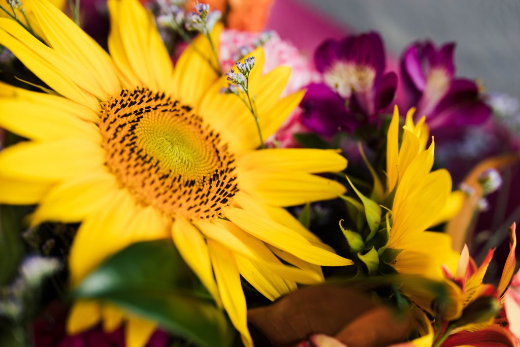 Valentines flowers